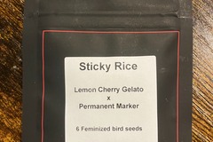 Venta: Sticky Rice from LIT Farms