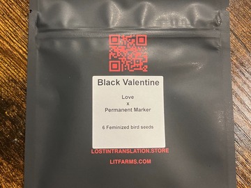 Vente: Black Valentine from LIT Farms