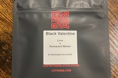 Vente: Black Valentine from LIT Farms