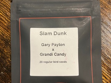 Vente: Slam Dunk from LIT Farms