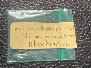 Vente: More Cowbell Minty Dub Edition (Thin Mint GSC x 88G13) - Bodhi
