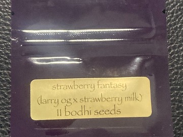 Vente: Strawberry Fantasy (Larry OG x Strawberry Milk) - Bodhi Seeds