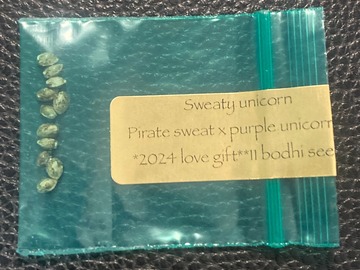 Vente: Sweaty Unicorn (Pirate Sweat x Purple Unicorn) - Bodhi Seeds