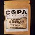 Vente: Copa Genetics Ancient Chocolate 5 pack