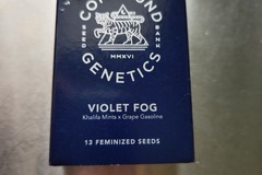Venta: Compound Genetics- Violet Fog