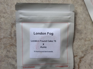 Sell: London Fog (London Pound Cake #75 x Runtz) by Lit Farms