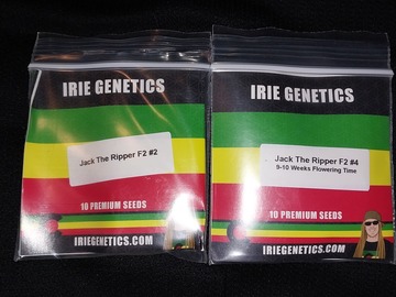 Sell: Rare, Irie Genetics, Jack The Ripper F2 #2 & #4 20 Seeds Total