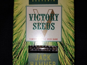 Sell: Jack Hammer 10 Feminized Seeds by Victory Seeds