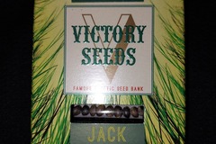 Sell: Jack Hammer 10 Feminized Seeds by Victory Seeds