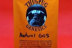 Vente: Thug Pug Natural Gas