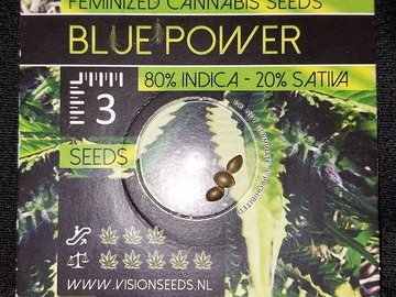 Vente: Blue Power by Vision Seeds 3 Feminized Seeds