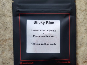 Venta: Sticky Rice (Lemon Cherry Gelato x Permanent Marker) by Lit Farms