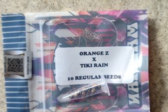 Sell: Orange Z x Tiki Rain by Tiki Madman