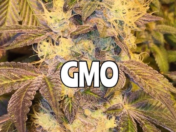 Sell: GMO