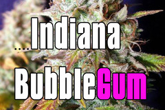 Sell: Indiana bubblegum