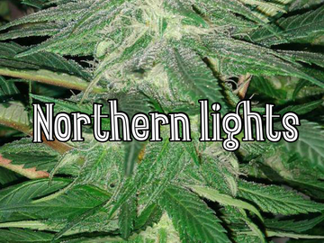Vente: 1992 Northen Lights