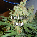 Vente: Fort Collins Cough