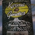 Sell: Mochiesel karma genetics super rare