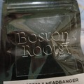 Sell: Gelato 33 x headbanger Boston Roots