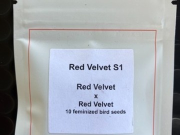 Sell: Red Velvet S1 from LIT Farms