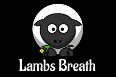 Sell: Lambs Breath Collection - 5 Packs - 60 Seeds