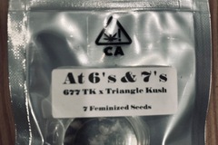 Sell: CSI - ‘at 6’s & 7s’ 677 triangle Kush x triangle Kush