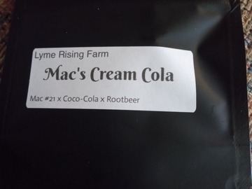 Venta: Lyme Rising Farms- Mac's Cream Cola