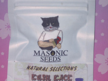 Vente: Kush Kack (Natural Selections) Masonic Seeds
