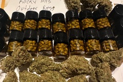Sell: Cavemandica F2’s  Inaugural release packs of 4 seeds