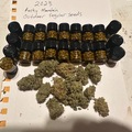 Sell: Cavemantiva F2 inaugural release packs of 4 seeds