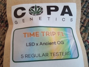 Sell: Copa Genetics- Time Trip F1