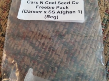Sell: Cars N Coal Seed Co