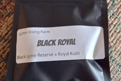 Sell: Lyme Rising Farm