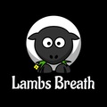 Auction: Auction - Lambs Breath Collection - 6 Packs - 72 Seeds