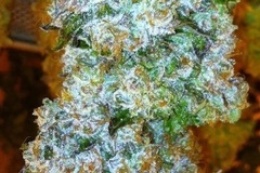Sell: Top Dawg Seeds – Tres Kush