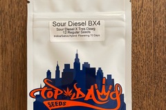 Sell: Top Dawg Sour Diesel BX4