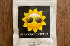 Vente: Strayfox Gardenz Skunky Thai