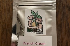 Vente: BigWorm Genetics - French Cream
