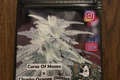 Sell: Grow For Me - Curse of Momo x Chunky Orange Zkittlez
