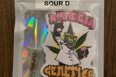 Vente: Amnesia Genetics - Casey Jones BX1 F2 x Sour Diesel