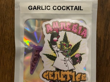 Venta: Amnesia Genetics - Casey Jones BX F2 x Garlic Cocktail