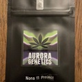 Vente: Aurora Genetics - Nona F1 Project