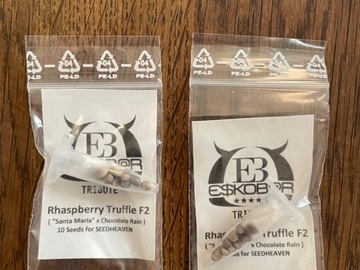 Vente: E$kobar Tribute - Rhaspberry Truffle F2