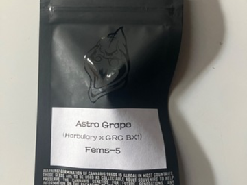 Sell: Square One Genetics- Astro Grape