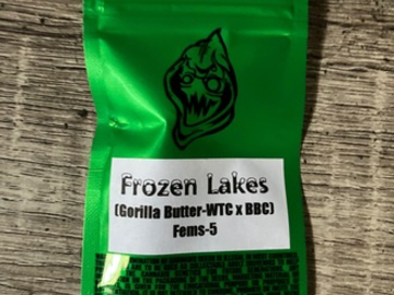 Sell: Robinhood Seeds- Frozen Lakes