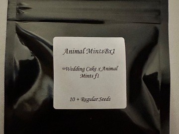 Sell: Animal mints bx1 (seed junky)