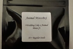 Vente: Animal mints bx1 (seed junky)