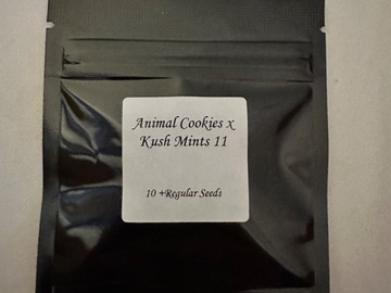 Venta: Animal cookies x kushmints 11 (seed junky)