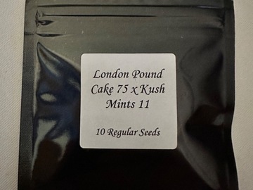 Venta: London pound cake 75 x kushmints 11 (seedjunky)