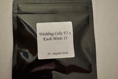 Sell: Wedding cake f2 x kush mints 11 (seedjunky)